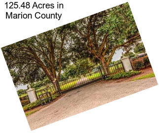 125.48 Acres in Marion County