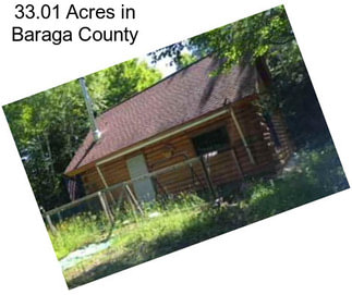 33.01 Acres in Baraga County