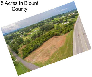 5 Acres in Blount County