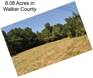 8.08 Acres in Walker County