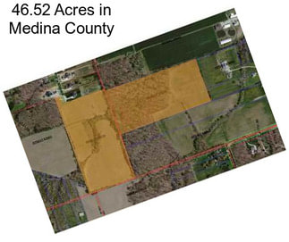 46.52 Acres in Medina County