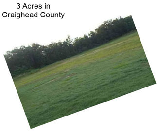3 Acres in Craighead County