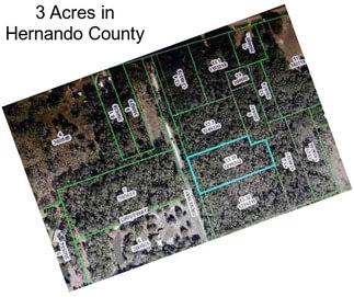 3 Acres in Hernando County