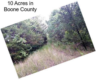 10 Acres in Boone County