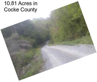 10.81 Acres in Cocke County