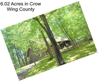 6.02 Acres in Crow Wing County