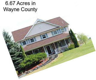 6.67 Acres in Wayne County