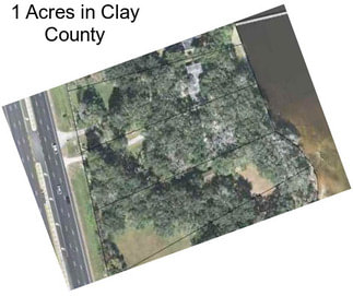 1 Acres in Clay County