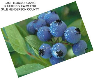 EAST TEXAS ORGANIC BLUEBERRY FARM FOR SALE HENDERSON COUNTY