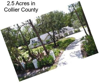 2.5 Acres in Collier County