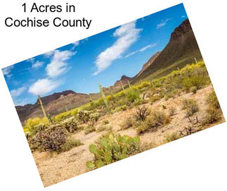 1 Acres in Cochise County