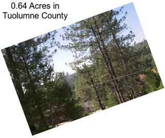 0.64 Acres in Tuolumne County