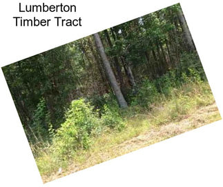 Lumberton Timber Tract