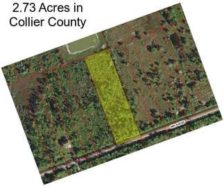 2.73 Acres in Collier County