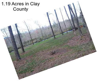 1.19 Acres in Clay County