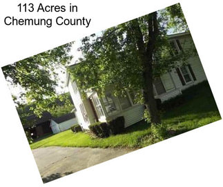 113 Acres in Chemung County