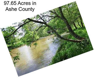 97.65 Acres in Ashe County