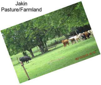 Jakin Pasture/Farmland