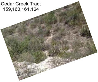 Cedar Creek Tract 159,160,161,164