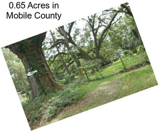 0.65 Acres in Mobile County