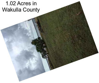 1.02 Acres in Wakulla County