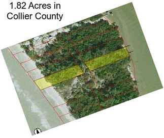 1.82 Acres in Collier County