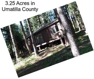 3.25 Acres in Umatilla County