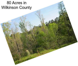 80 Acres in Wilkinson County