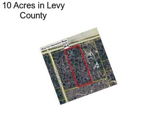 10 Acres in Levy County