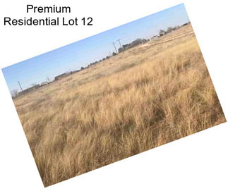 Premium Residential Lot 12