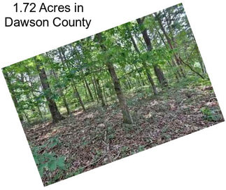 1.72 Acres in Dawson County