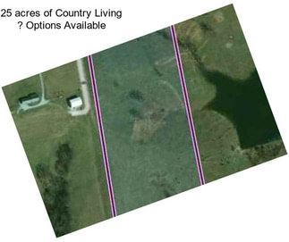 25 acres of Country Living ? Options Available