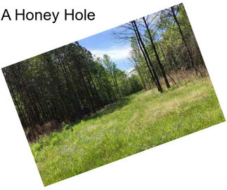 A Honey Hole