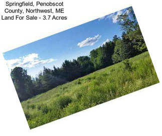 Springfield, Penobscot County, Northwest, ME Land For Sale - 3.7 Acres