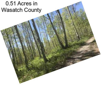 0.51 Acres in Wasatch County