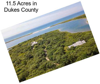 11.5 Acres in Dukes County