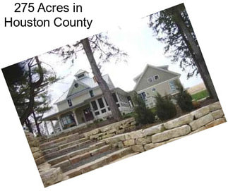 275 Acres in Houston County