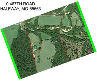 0 487TH ROAD HALFWAY, MO 65663