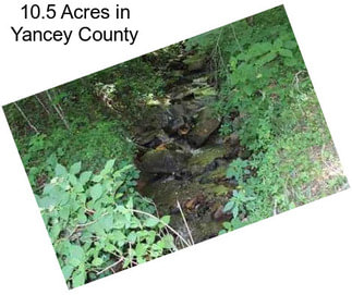 10.5 Acres in Yancey County