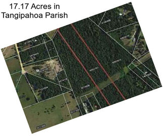 17.17 Acres in Tangipahoa Parish