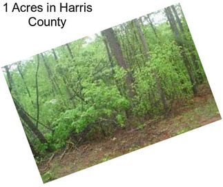 1 Acres in Harris County