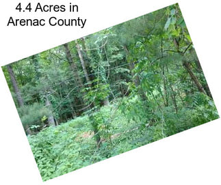 4.4 Acres in Arenac County