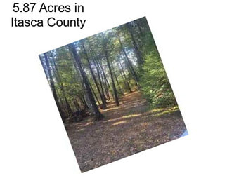 5.87 Acres in Itasca County