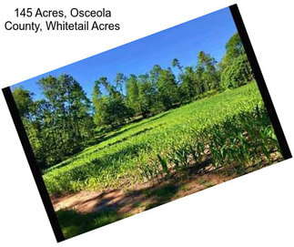 145 Acres, Osceola County, Whitetail Acres