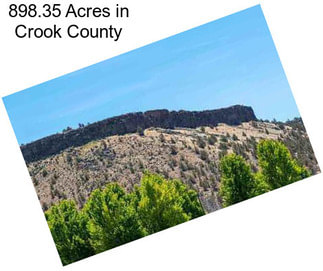 898.35 Acres in Crook County