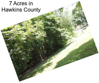 7 Acres in Hawkins County