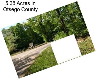 5.38 Acres in Otsego County