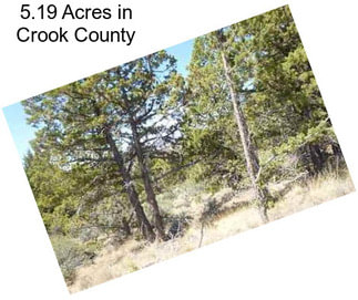 5.19 Acres in Crook County