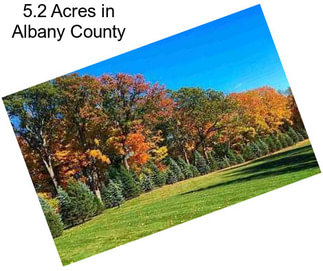 5.2 Acres in Albany County
