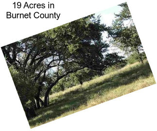 19 Acres in Burnet County